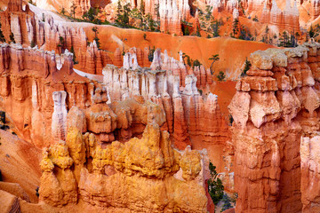 Scenic view of stunning red sandstone hoodoos in Bryce Canyon National Park