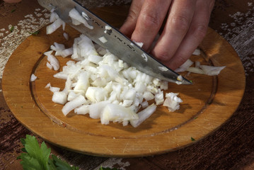 Obraz na płótnie Canvas Cooking onion