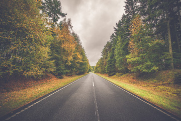 Highway with colorful trees by the road