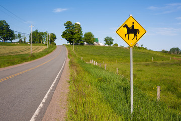 Horse crossing sign beside rural highway.