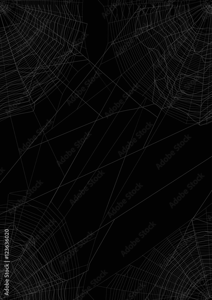Wall mural grey and white thin spider web in four corners