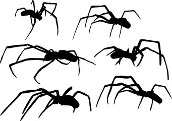 six isolated black spiders illustration