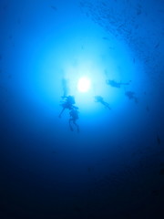海底から見上げた太陽とダイバー達　パラオ
