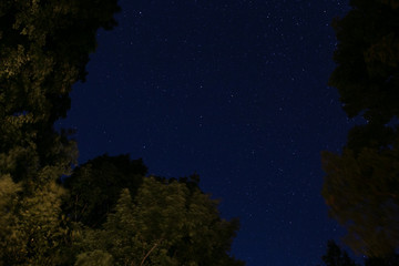 Fototapeta na wymiar Long exposure of trees stars lake and sky