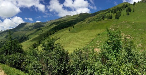 grüne Bergwiesen des Navistals in Tirol