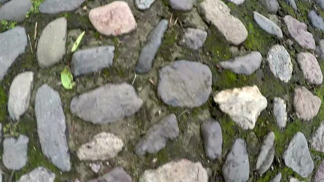 Movement on a old stone path