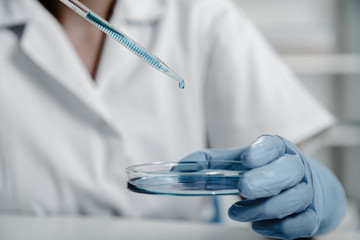 Pipette with drop of color liquid and petri dishes .Scientist examining solution in petri dish at a laboratory