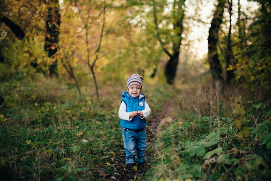 little boy in blue in the autumn forest