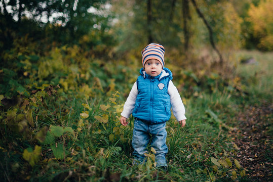 little boy in blue in the autumn forest