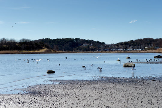 Askimbadet in Gothenburg on a spring day