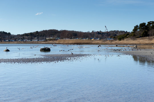 Askimbadet in Gothenburg on a spring day