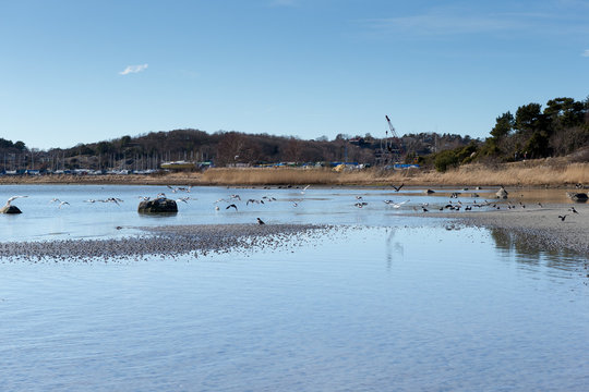 Askimbadet in Gothenburg on a spring day