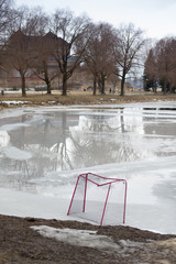 Natural ice ring and hockey net