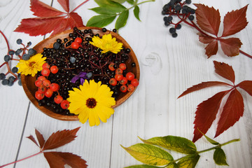 Autumn harvest of fruits on wooden plate, and colored leaves and fall colors on a light wooden background
