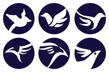 Bird Logo Vector Design