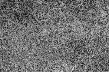 grass
