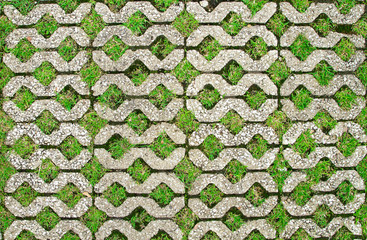 concrete walkway and green grass in the holes