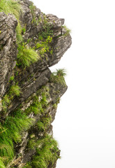 Cliffs of stone with green grass