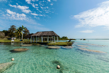 corals and pavilion at laguna of bacalar