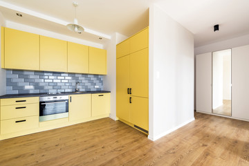 New apartment, empty room with domestic kitchen