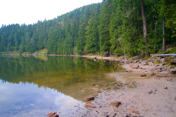 Black Forest Germany Schwarzwald