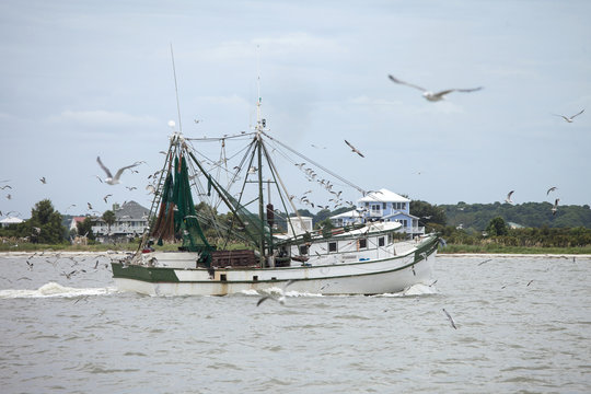Commercial shrimping boat off South Carolina