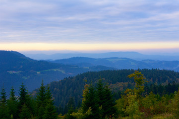 Fototapeta na wymiar Black Forest Germany Schwarzwald