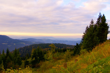 Black Forest Germany Schwarzwald