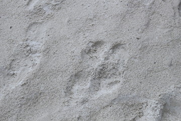 Sand Texture, Background