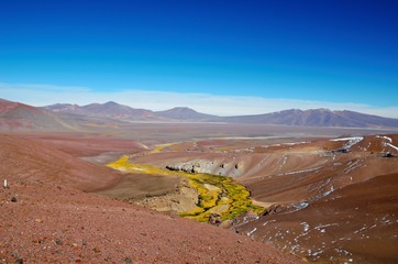 Panoramic view  over a green and yellow river between brown sandy hills on the way to Laguna Verde close to Copiapo in Chile, South America © mandy2110