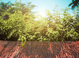red old wooden planks and sunset