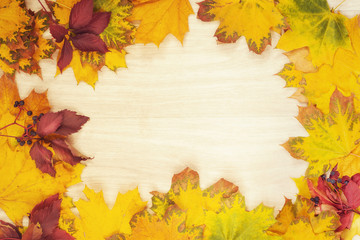 Naklejka na ściany i meble Frame of colorful autumn leaves