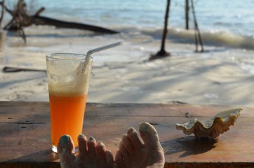 relaxing on a tropical  beach 