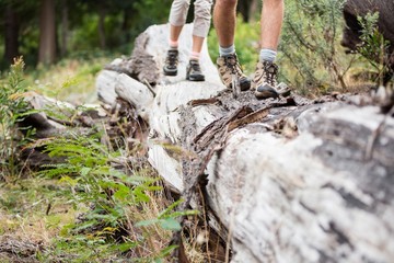 Hiker couple walking on tree trunk