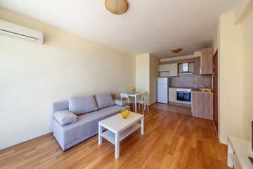 Modern living room with kitchen. Interior photography.
