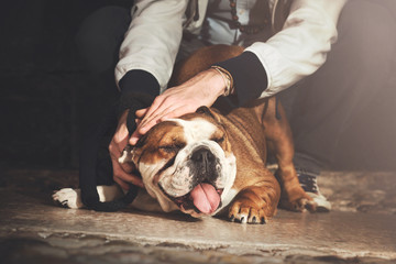 man doing cuddles to his bulldog - obrazy, fototapety, plakaty