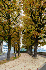 Fototapeta premium Farbe in der Natur im Herbst und Winter