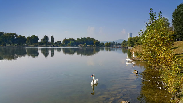 An der Oberen Alten Donau in Wien