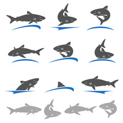 Shark set. Vector