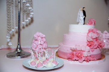 Wedding cake. Candy bar marshmallow on the table in a vase, macaroon, and cupcake, decor vanilla, handmade sweets