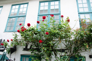 Olaf-Samsung-Gang in Flensburg am Hafen.