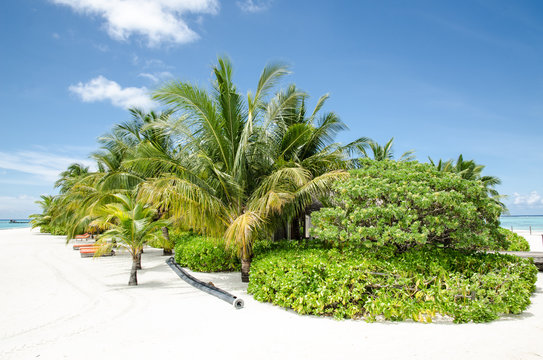 Maldives Island