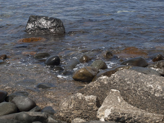 Obraz premium Piedras vivas de mar.