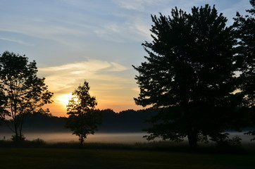 Peaceful morning sunrise through trees and over foggy field