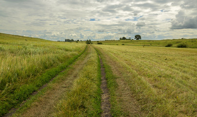Summer scene.Countryside road in the meadows