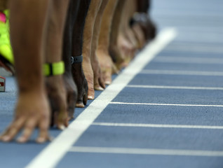 Athletes at the starting line
