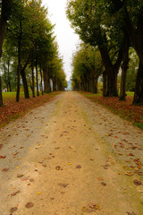 Die farbige und schöne Natur im Herbst und Winter