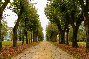 Die farbige und schöne Natur im Herbst und Winter