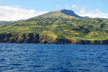 Ilha do Pico. Açores, Portugal
