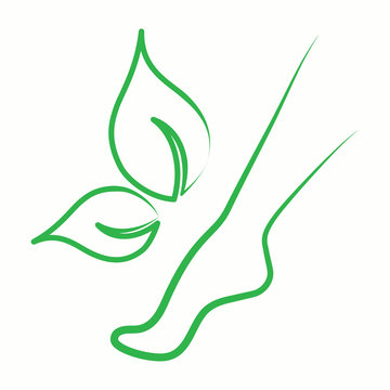 legs foot body skin care woman spa massage beauty salon vector green thin line icon